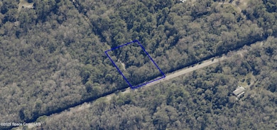 0 Harrison Rd unit 1062582, Mims, FL 32754 - photo 5