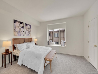 930 E Plum Creek Pkwy unit 205, Castle Rock, CO 80104 - photo 5