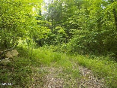 0 Lea Lakes Rd unit 1220944, Blaine, TN 37709 - photo 2