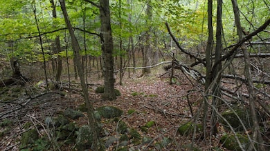 dji_fly_20250925_113136_254_175881432154