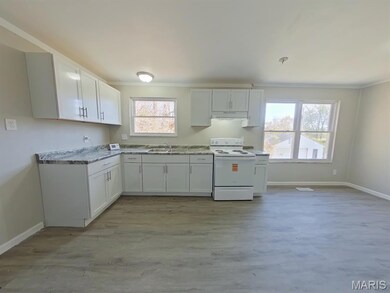 10432 Royal Dr, Saint Louis, MO 63136 - photo 3