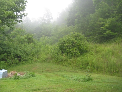 Land Behind Garage