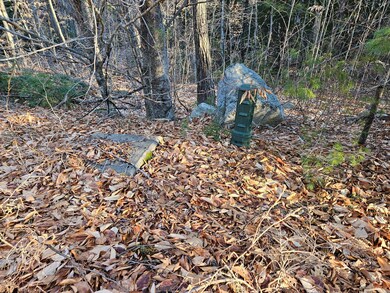 41-4 Tanner Way, Bridgton, ME 04009 - photo 3