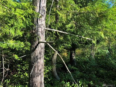 0 Bald Hills Rd SE unit 1640352, Yelm, WA 98989 - photo 3