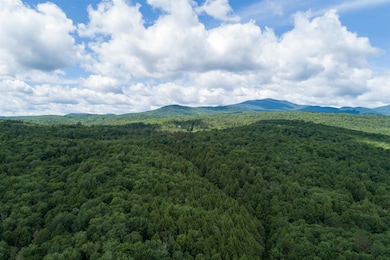 2930 Cote Hill Rd, Morrisville, VT 05661 - photo 3