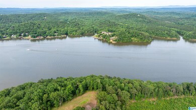 0 Will Black Hollow Rd unit 21424720, Ragland, AL 35131 - photo 5