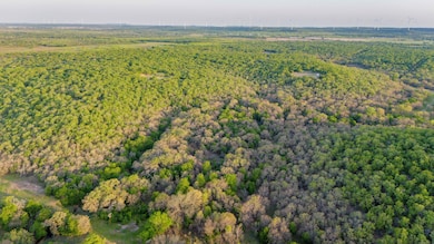 0000 Hwy 380, Jacksboro, TX 76458 - photo 6