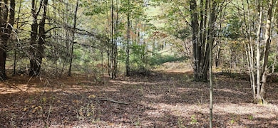 1100 E Bard Rd, Muskegon, MI 49445 - photo 6