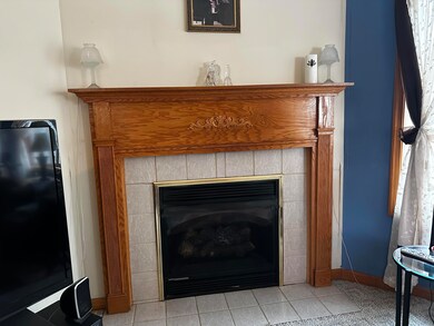 Living room fireplace
