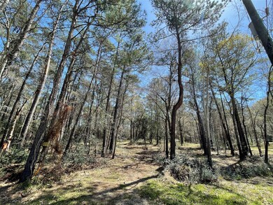 TBD2 Dan Cir, Magnolia, TX 77355 - photo 2