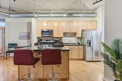SkyTech Lofts unit 920S, Chicago, IL 60607 - photo 4