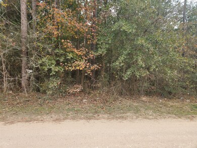 Lot 1 Yupon Branch Ln, Plantersville, TX 77363 - photo 5