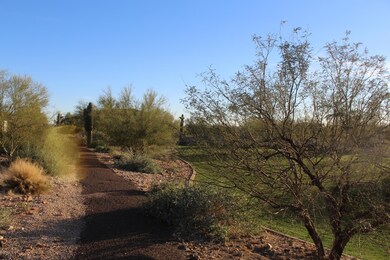 Walking Trails in Bellissima