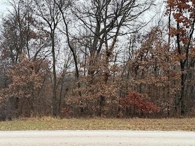 XXX Bootjack Trail, Liberty Township, MO 63559 - photo 5