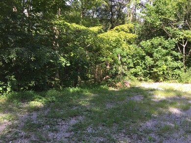 Lt 39-42 Chestnut St, Burnside, KY 42519 - photo 6