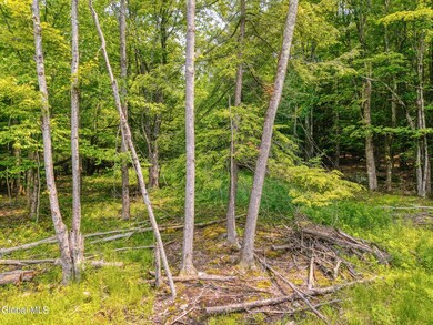 TBD Boulder Brook Rd unit Lot 14, Windham, NY 12496 - photo 6