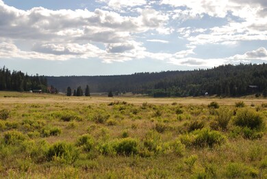 Strawberry Valley Area Views Nearby