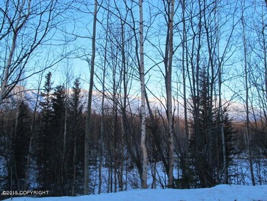 20130109213303737822000000-o.jpg