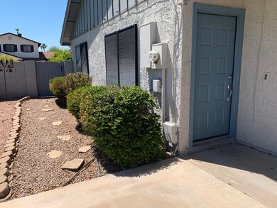 Side Yard