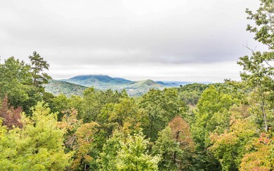 Additional View