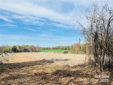 2095 Hattie Rd unit 3, Hamptonville, NC 27055 - photo 5