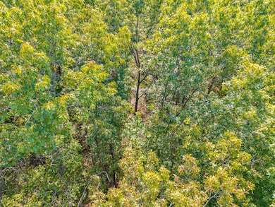 Lot 3&4 W Laurel Way, Monterey, TN 38574 - photo 4