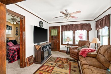 Living room featuring light carpet, plenty of natu