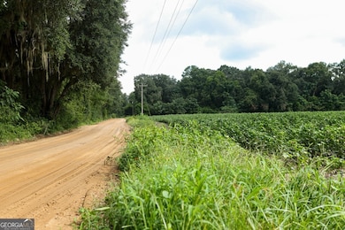 0 Twin Forks Rd unit TRACT 2 10586435, Statesboro, GA 30458 - photo 2