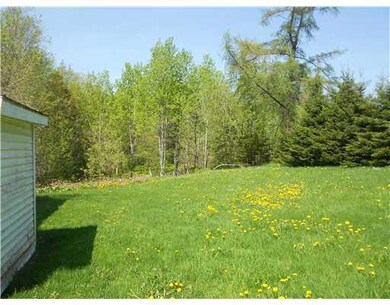 Yard/Garden.
