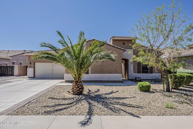 Front yard