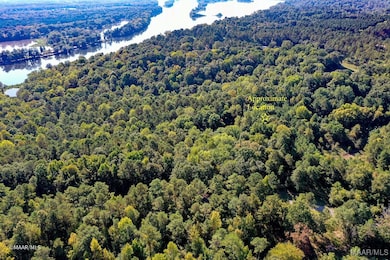 Lot 63 & 63A Riverview Landing Dr, Camden, AL 36726 - photo 2