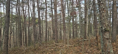 Tract 30 Gillespie Rd SE, Fairmont, GA 30139 - photo 7