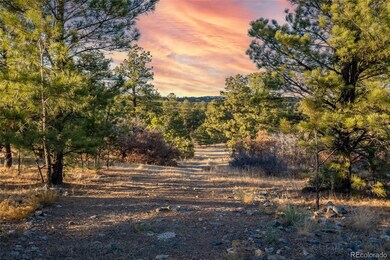 10421 Remmick Ridge Rd, Parker, CO 80134 - photo 6