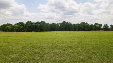 005_farmfield_-04