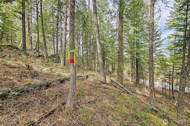 4700 E Deer Park Milan Rd, Chattaroy, WA 99003 - photo 4