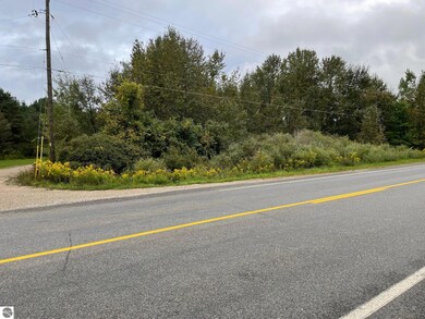 0 W State Rd, West Branch, MI 48661 - photo 2