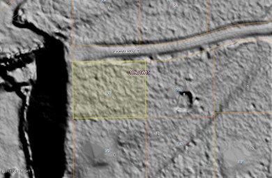 Bare Earth