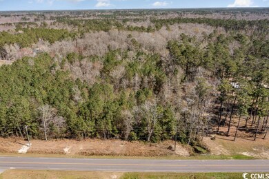 7232 S Carolina 19 unit 7236 E Highway 19, Loris, SC 29569 - photo 2