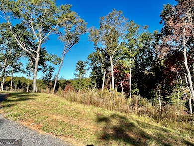 LOT 305 High River Rd, Ellijay, GA 30540 - photo 3