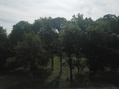 000 Beard Rd, Xenia, IL 62899 - photo 6