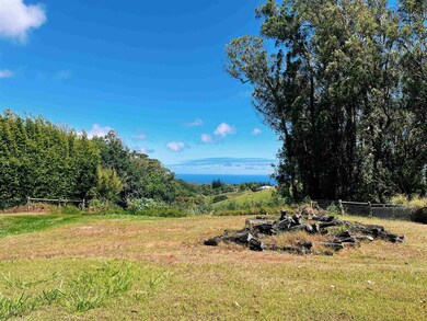 57 Awalau Rd unit A, Haiku, HI 96708 - photo 5