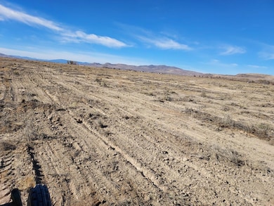 469-400 Helman Ln, Wendel, CA 96136 - photo 2