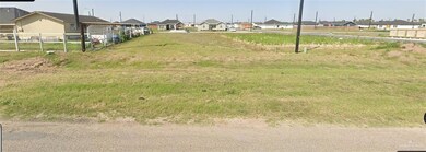 209 E Irvine Ave, Alamo, TX 78516 - photo 3