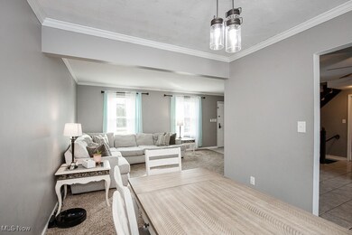 6860 Fitch Rd, Olmsted Falls, OH 44138 - photo 7