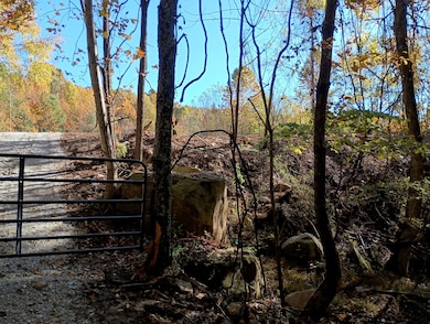 0 Clouse Hill Rd, Pelham, TN 37366 - photo 3