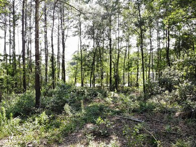 TBD D & G Ln, Whigham, GA 39892 - photo 7