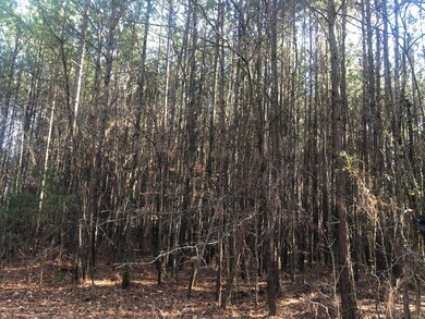 0 E Warren Rd unit 1330001, La Fayette, GA 30728 - photo 2