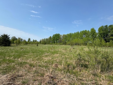 67552 Tranquility Trail, Effie, MN 56639 - photo 4