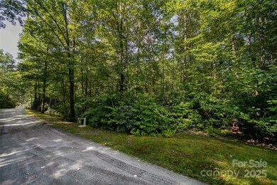 Lot 7 Sweetwater Ridge Rd unit 7, Balsam Grove, NC 28708 - photo 2