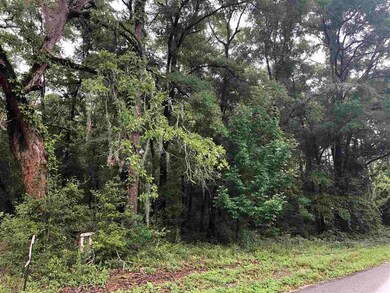 xx Purify Bay Rd, Crawfordville, FL 32327 - photo 4